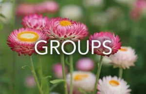 Holistic Healing Groups in MA Holistic Healing Groups in MA