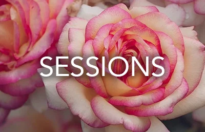 Holistic Healing Sessions in MA Holistic Healing Sessions in MA